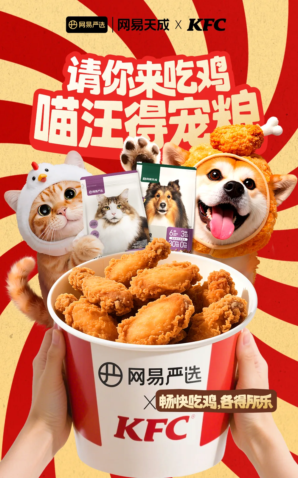 KFC 宠物粮联名营销 项目展示