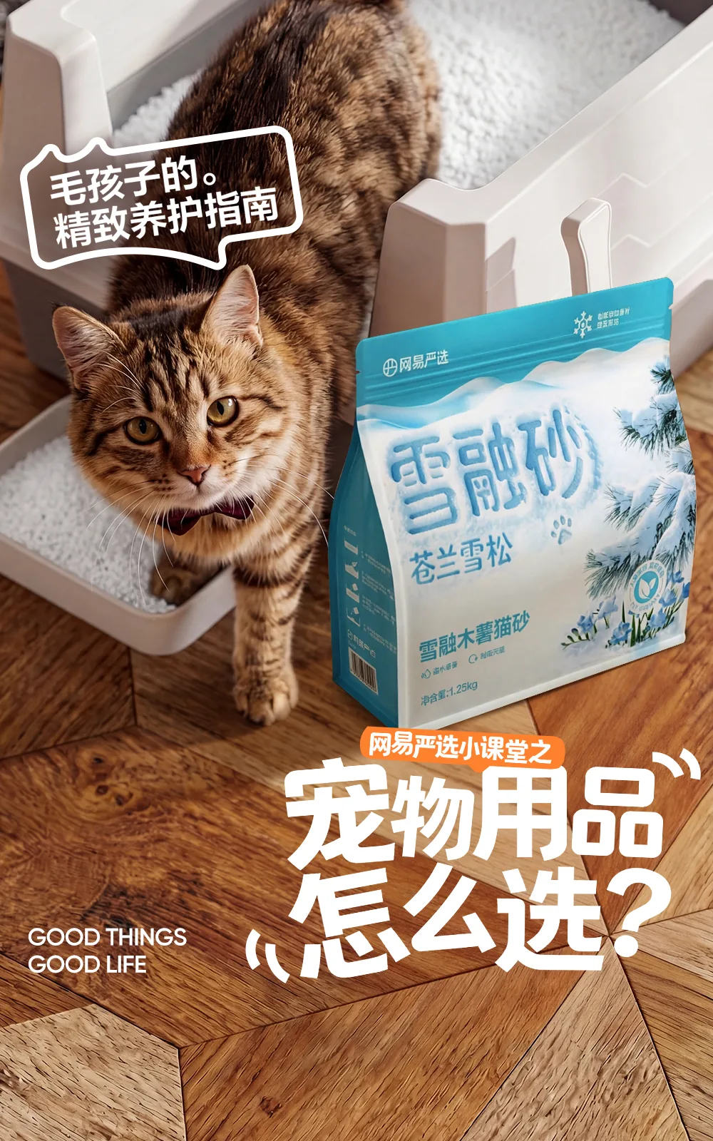 宠物用品怎么选 项目展示