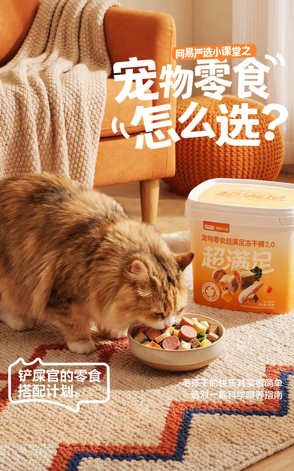 宠物零食怎么选 项目展示